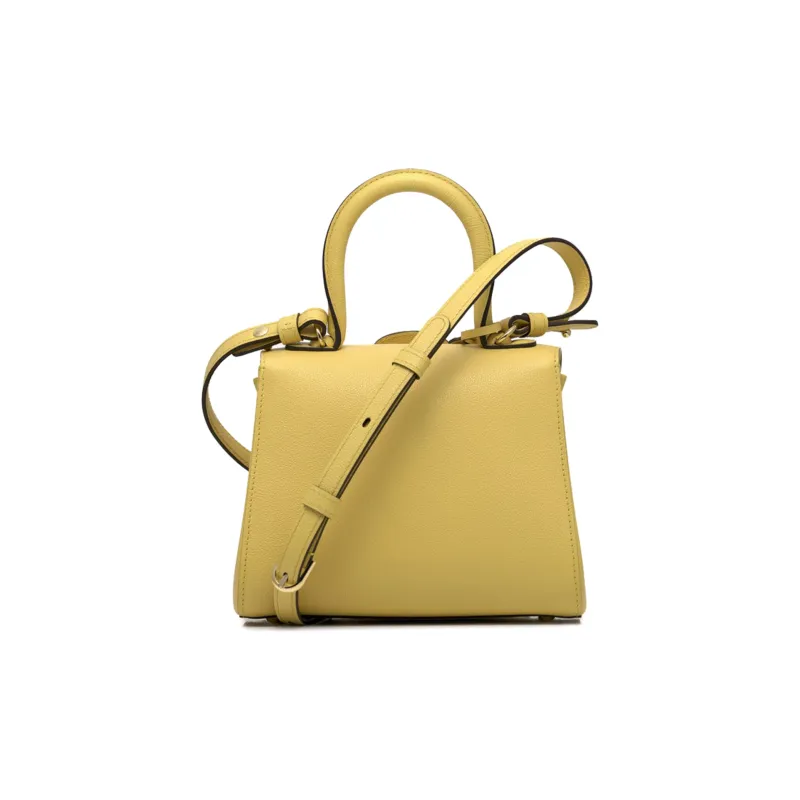 Delvau Brillant Calfskin Shoulder Bag Crossbody Bag Handbags Mini Women's Yellow-2