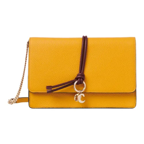 Chloé Bags Clutches