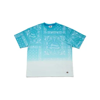 Dickies T Shirts Men Sky Blue