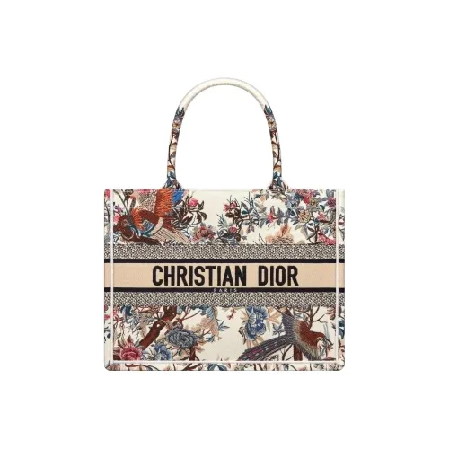 DIOR BookTote Handbags