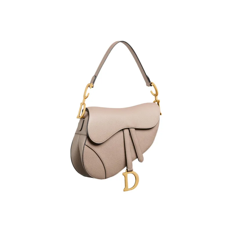 DIOR Saddle Handbags-1