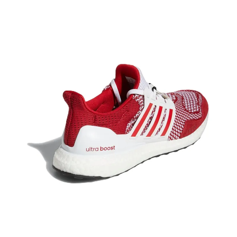 adidas Ultra Boost 1.0 Indiana-3