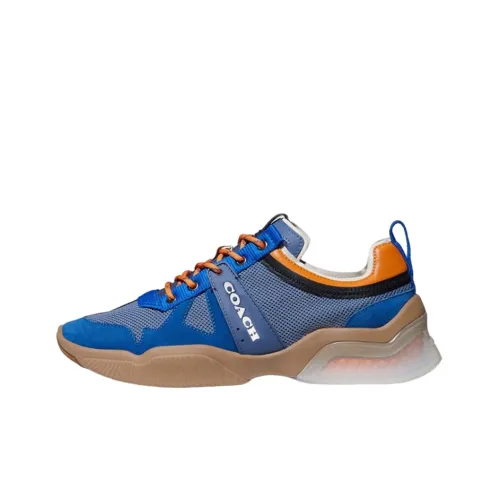 COACH Lifestyle Shoes Men Low-Top Blue