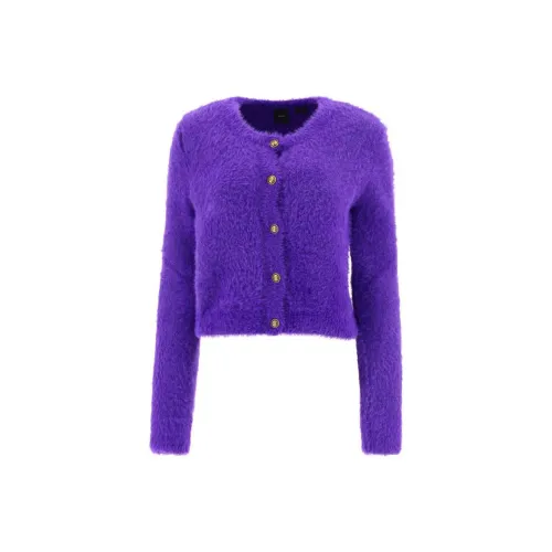 PINKO Knitwear Women's Purple