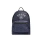 Bag+Dust Bag