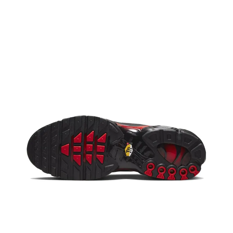 Nike Air Max Plus Bred Reflective-5