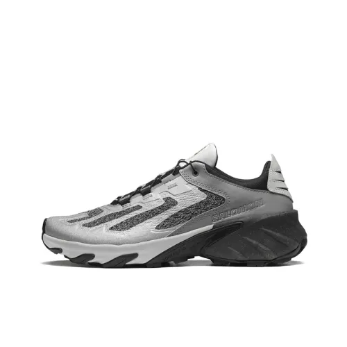 SALOMON Speedverse PRG 'Silver Frost Grey'