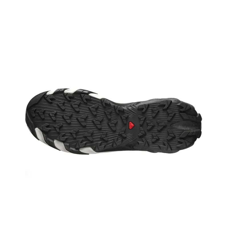 SALOMON Speedverse Prg 'Grey' / L00-5