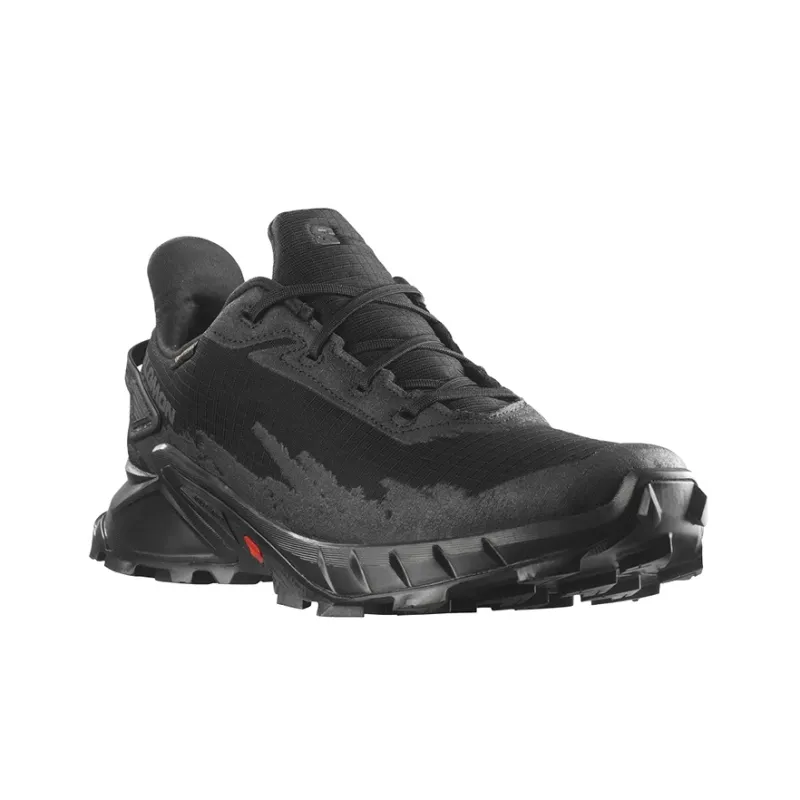 SALOMON Alphacross 4 GORE-TEX 'Black'-2