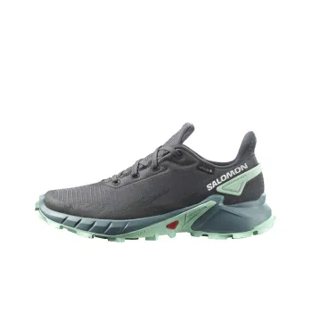 SALOMON Alphacross 4 Gore Tex / L00Women's