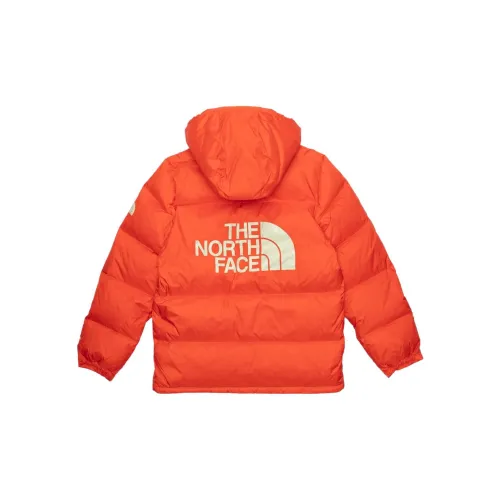 THE NORTH FACE Mens Color Block Sierra Parka