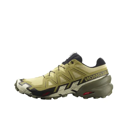 SALOMON Speedcross 6 Hiking / Trekking Shoes Men Low-Top Green