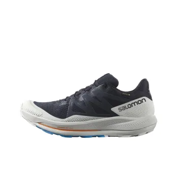 SALOMON Pulsar Trail Gtx 'Night Sky' / L00