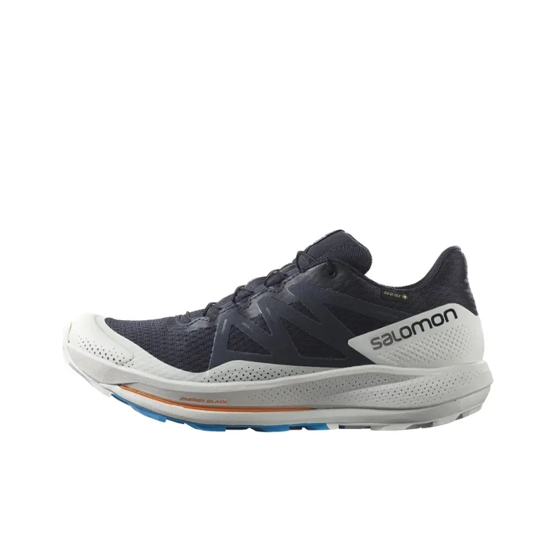 SALOMON Pulsar Trail Gtx 'Night Sky' / L00-0