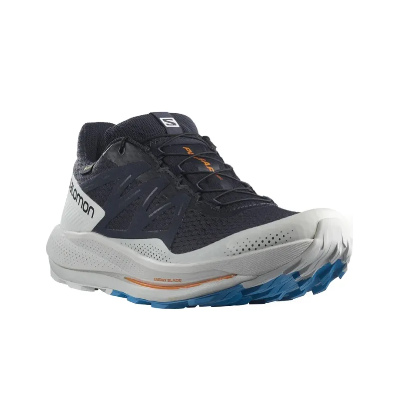 SALOMON Pulsar Trail Gtx 'Night Sky' / L00-2