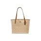 Bag+Dust Bag