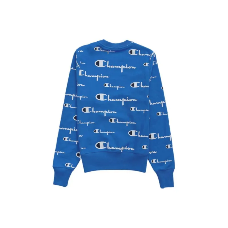 Champion Sweatshirts Unisex Light Blue-1