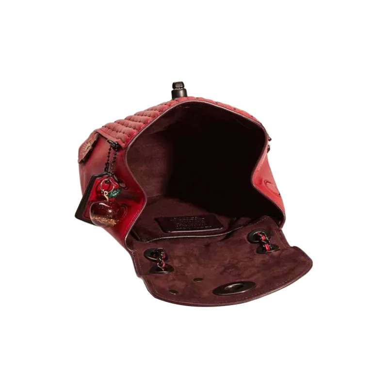 COACH PARKER Backpacks-1