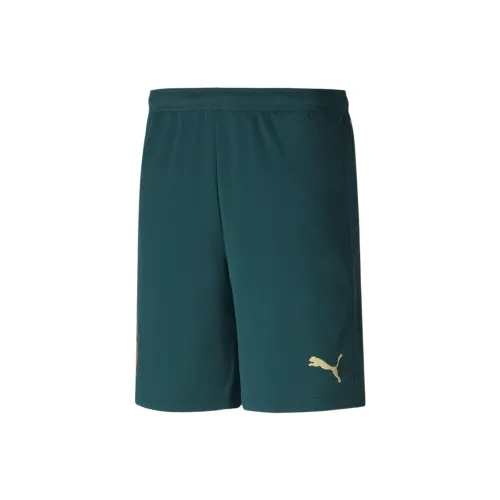 PUMA FIGC RENAISSANCE Soccer Bottoms Men Green