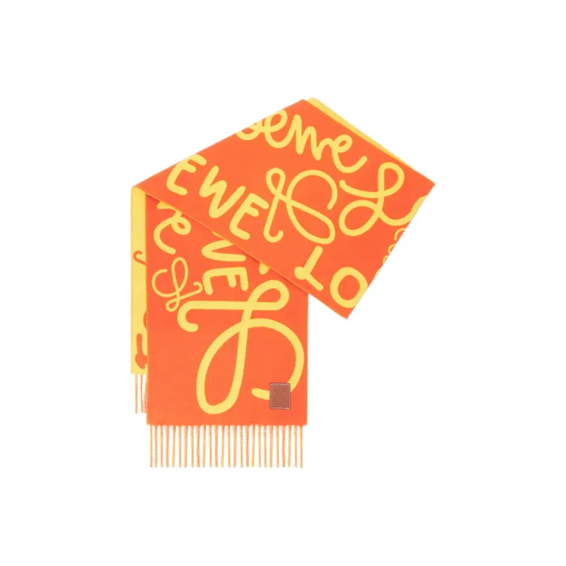 LOEWE Scarf-2