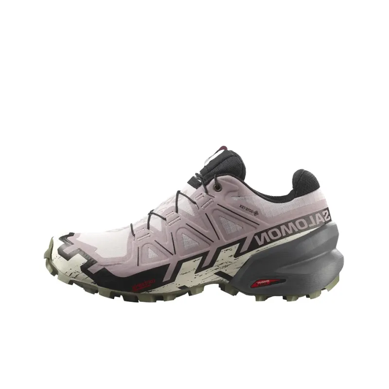 SALOMON Speedcross 6 Gore Tex 'Pink' / L00Women's-0