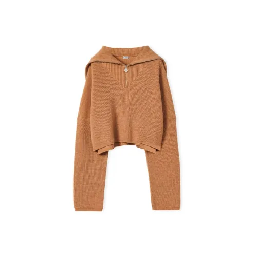 LOEWE Knitwear Women's Brown