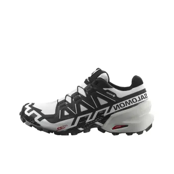 SALOMON Speedcross 6 Gore Tex 'Grey' / L00Women's