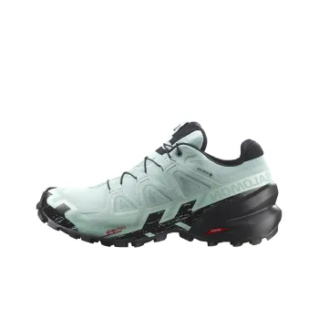 SALOMON Speedcross 6 Gtx 'Green' / L00Women's