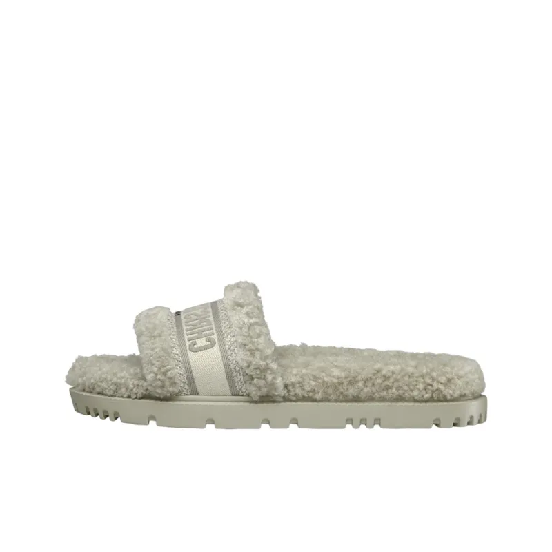 DIOR Dway Slide Slippers Women's Gray Green-0