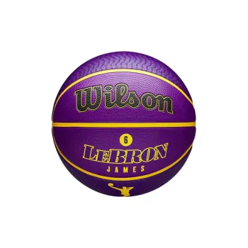 Wilson NBA Series Rubber Basketball Purple Yellow Size 7 Ball Training Unisex
