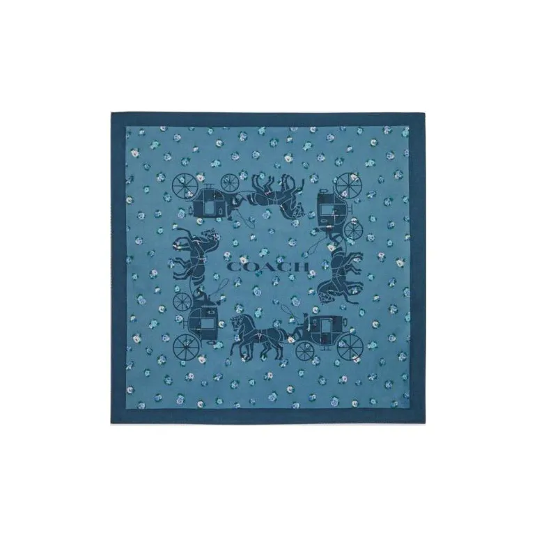 COACH Silk Silk Scarves Women's-0