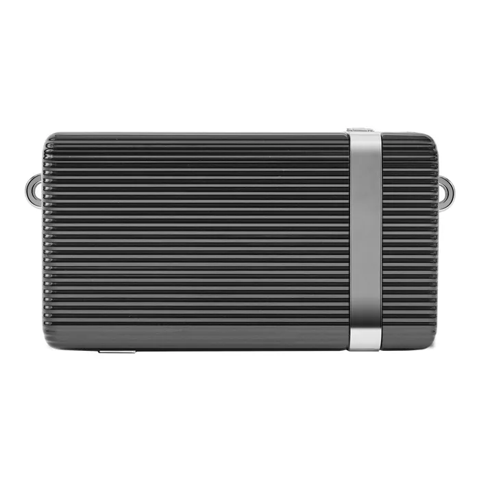 ECHOLAC Clutches-1