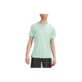 Mixed Color Wild Mint Green