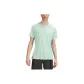 Mixed Color Wild Mint Green