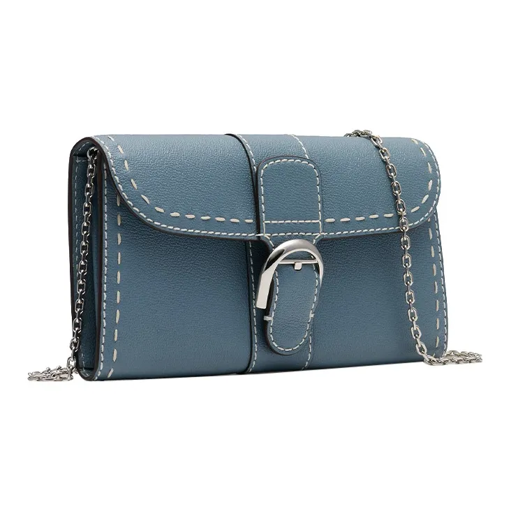 Delvau Brillant Textured Calfskin Wallets Shoulder Bag Crossbody Bag Regular Women's Blue-1