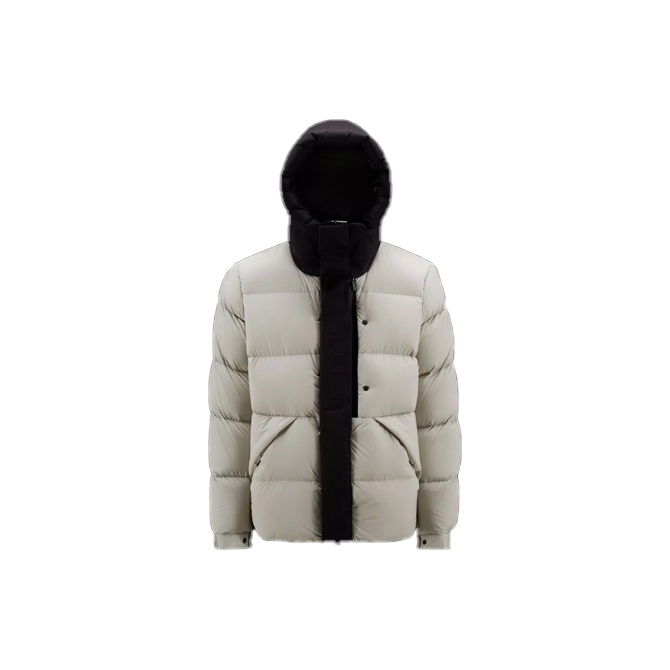 Moncler down jacket men on sale