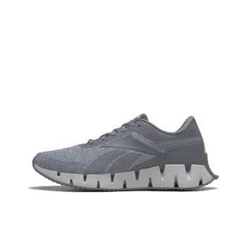 Zig Dynamica Reebok 2 'Pure Grey'