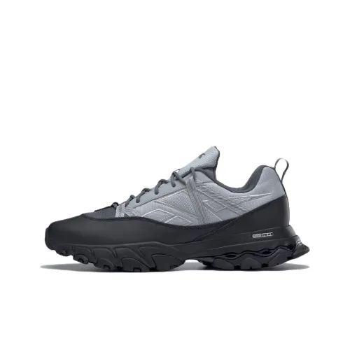 Reebok DMX Trail Pure Grey Black