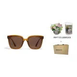 Box Limited Edition A