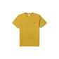 Ginger Yellow