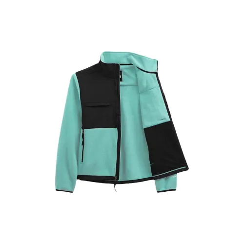 THE NORTH FACE 1995 Collection Jackets Men Green