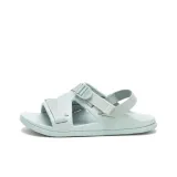 Light Blue Gray