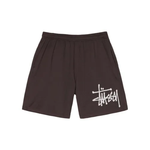 Stüssy Mesh Short Big Basic Shorts