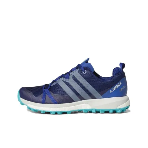Adidas Terrex Agravic GTX Wear-Resistant Low-Top Trekking Shoes Women's Blue