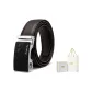 Chestnut Dark Brown Silver Buckle