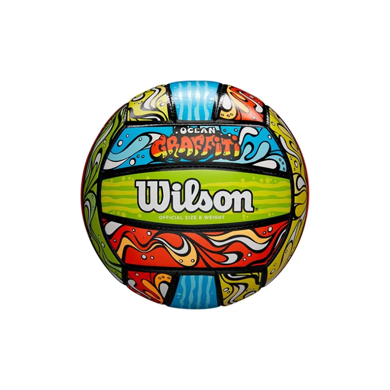 Wilson Volleyball-0