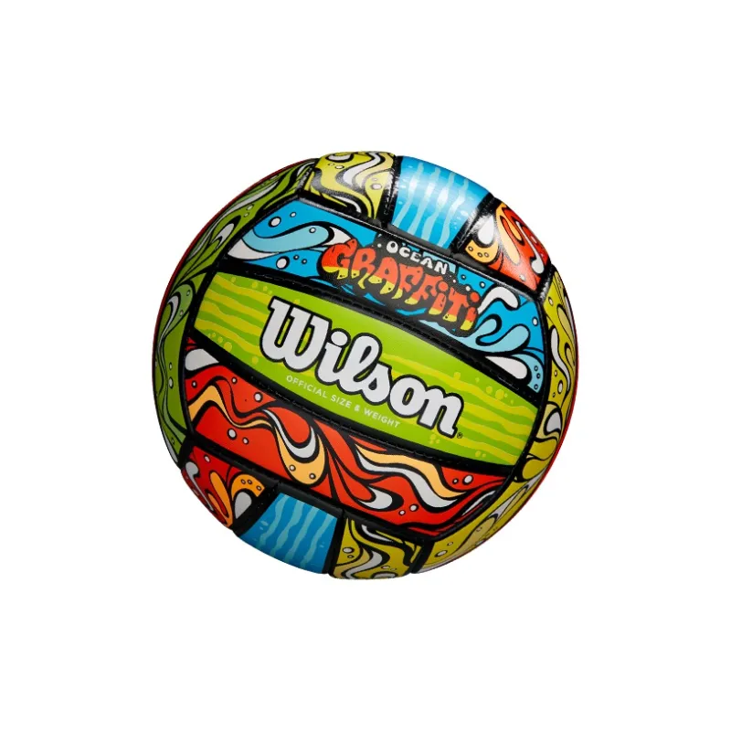 Wilson Volleyball-4