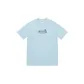 Gray Blue
