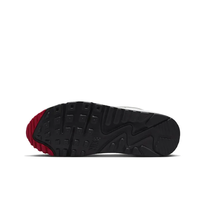 Nike Air Max 90 Light Iron All Women's-5