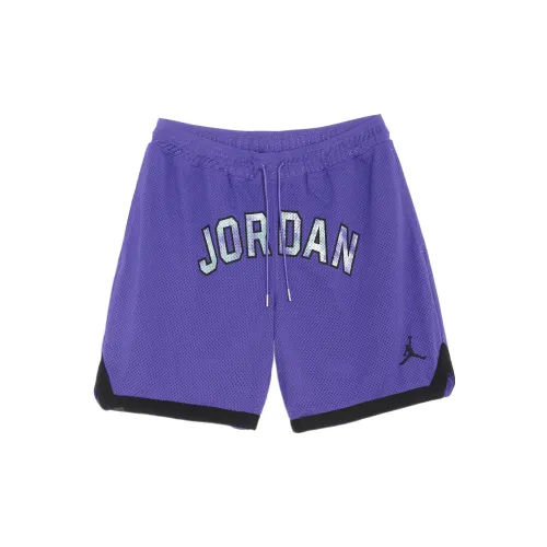 Jordan Sport DNA Mesh Shorts 